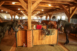 Schloss Herrenhaus Hotel Restaurant Unterkunft Appartements Zimmer in Polen Masuren