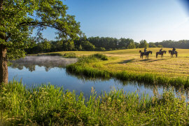 Schloss Herrenhaus Hotel Restaurant Unterkunft Appartements Zimmer in Polen Masuren